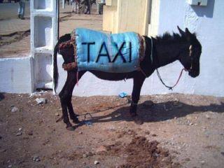  Image plaisante  taxi 
              